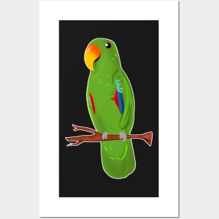 Ekkie Cute green Eclectus Parrot for parrot lovers Posters and Art